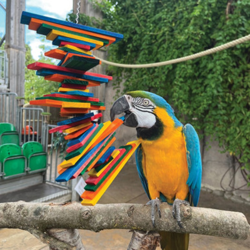 Pharaon Tower Twist Parrot Toy – Medium