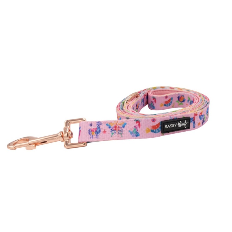 Sassy Woof You’re My RainBoo Leash