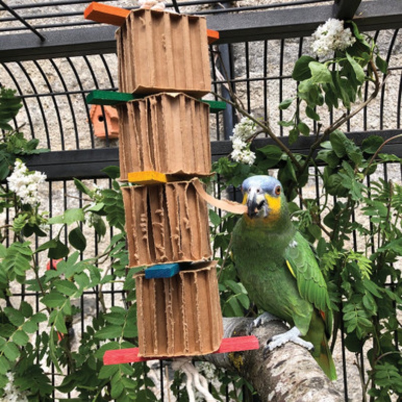 Shredding Tower Honeycomb Cardboard Parrot Toy – Large