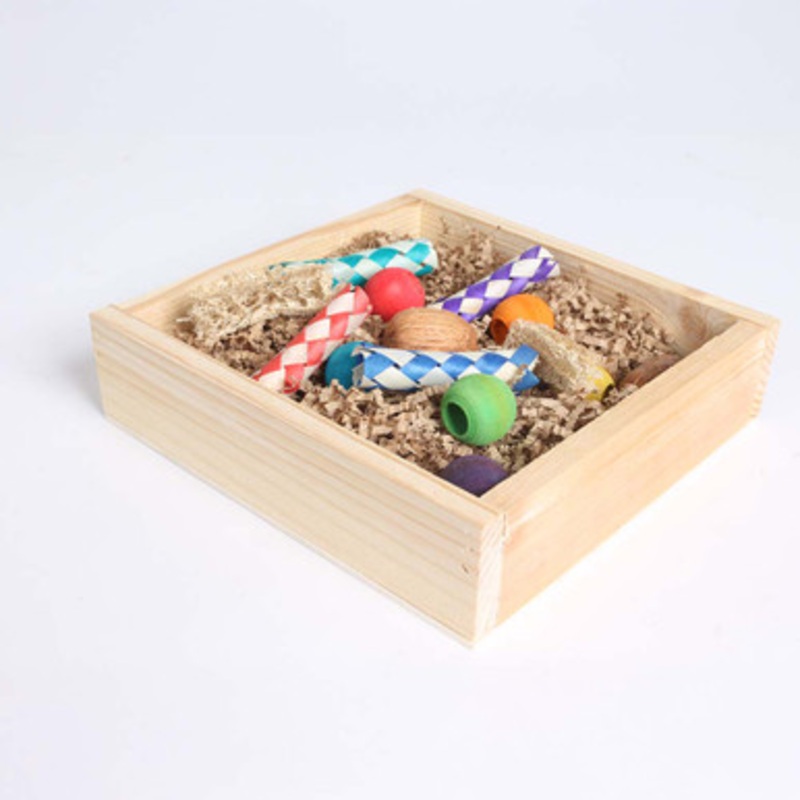 The Parrot Teacher Foraging Tray Enriching Parrot Toy