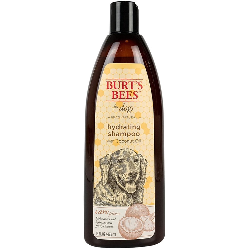 BURT’S BEES CARE PLUS+ HYDRATING SHAMPOO WITH COCONUT OIL
