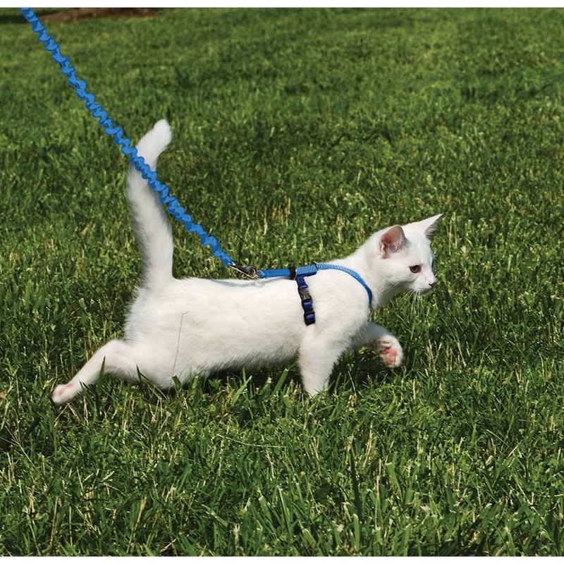 Come With Me Kitty Harness|Small|Medium|Large|Lilac|Red|Royal Blue|Black|Dusty Rose