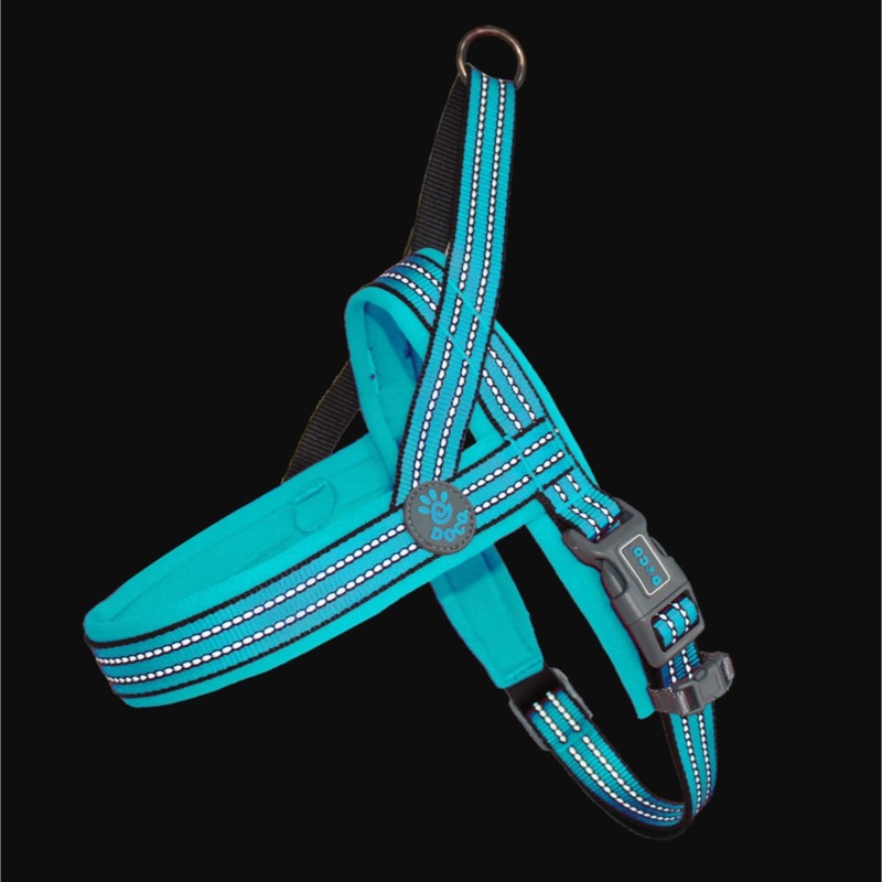 DOCO VARIO Neoprene Harness|Small 5/8 x 17 18-22|Small/Medium 3/4 x 18 21-24|Medium 3/4 x 22 23-28|Medium/Large 1 x 24 25-32|Large  1 x 28 28-36|Large/XLarge 1 1/2 x 30 32-39|XLarge  1 1/2 x 33 35-43|Turquoise|Raspberry Pink
