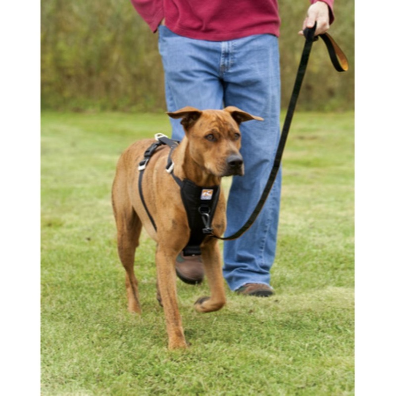 Kurgo Tru-Fit Smart Harness – Quick Release w/seatbelt loop