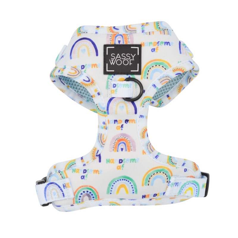 Sassy Woof ADJUSTABLE HARNESS – HANDSOME AF