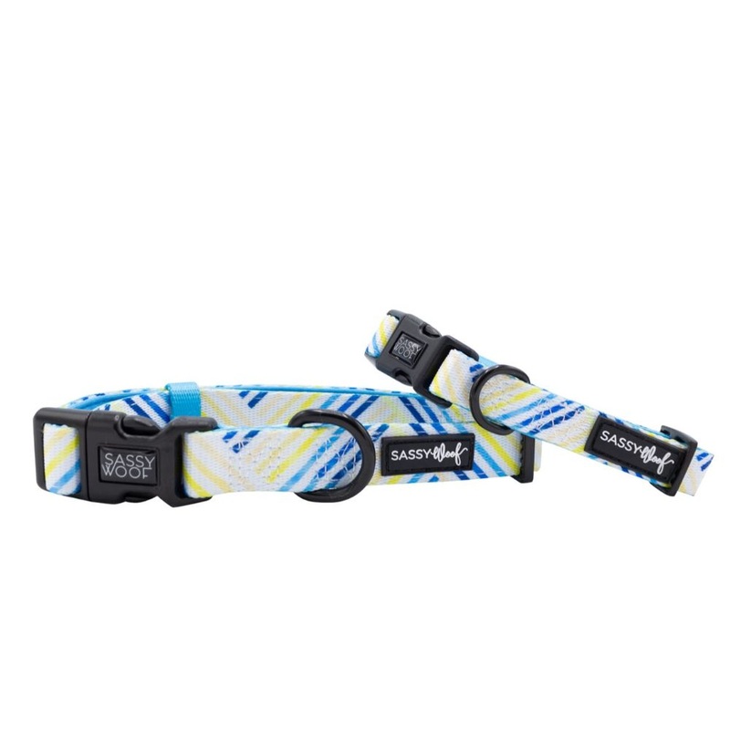 Sassy Woof Collar – Blueberry Lemonade