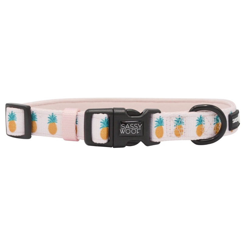Sassy Woof Collar – Puppy Colada