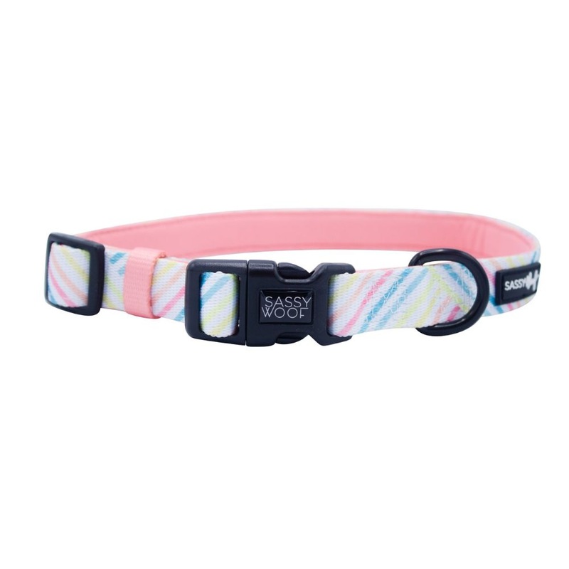 Sassy Woof Collar – Rainbow Sherbet