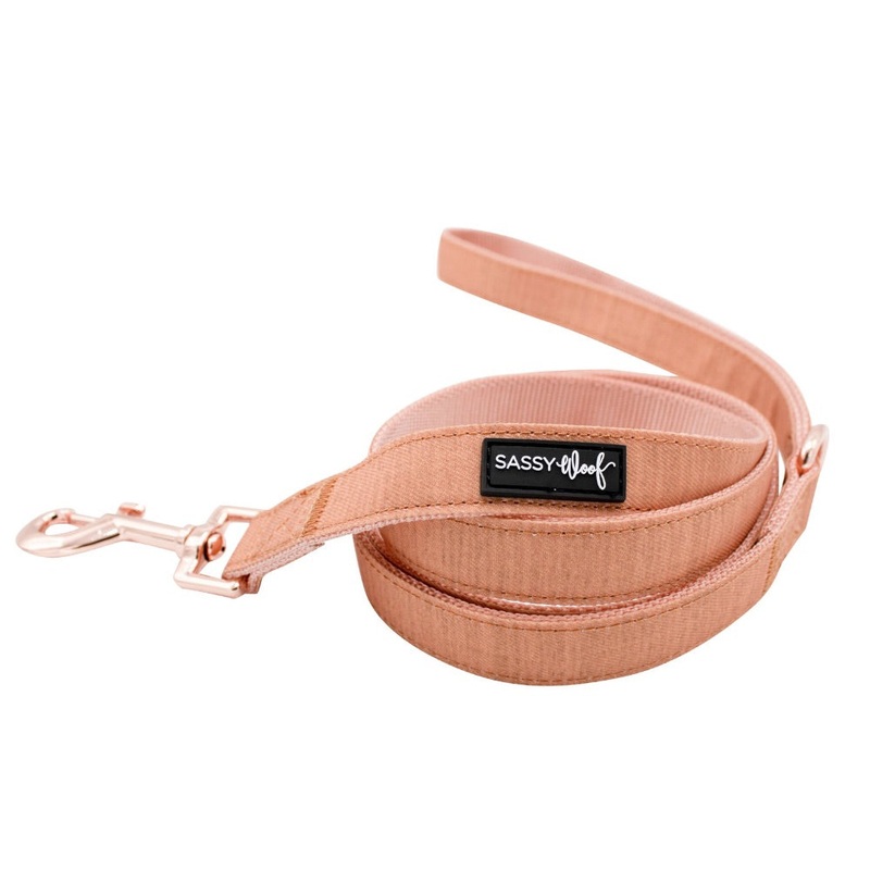 Sassy Woof Leash- Apple Cider