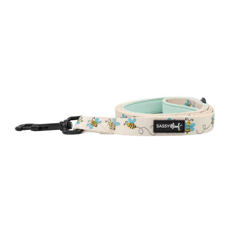 Sassy Woof LEASH – BEE SASSY