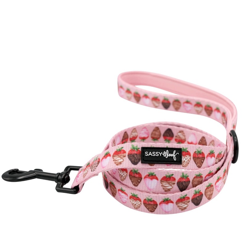 Sassy Woof Leash – Berry in Love