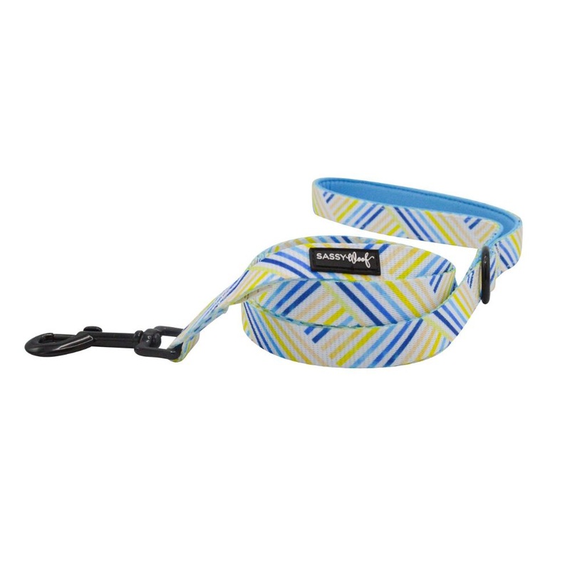 Sassy Woof Leash – Blueberry Lemonade