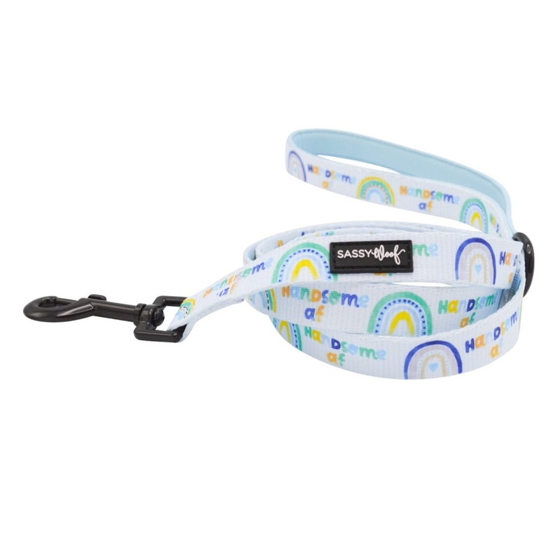 Sassy Woof LEASH – HANDSOME AF