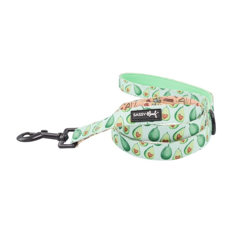 Sassy Woof LEASH – HEARTY BRUNCH