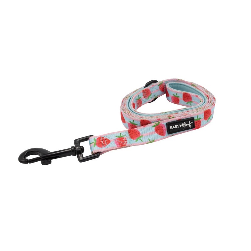 Sassy Woof LEASH – I WOOF YOU BERRY MUCH