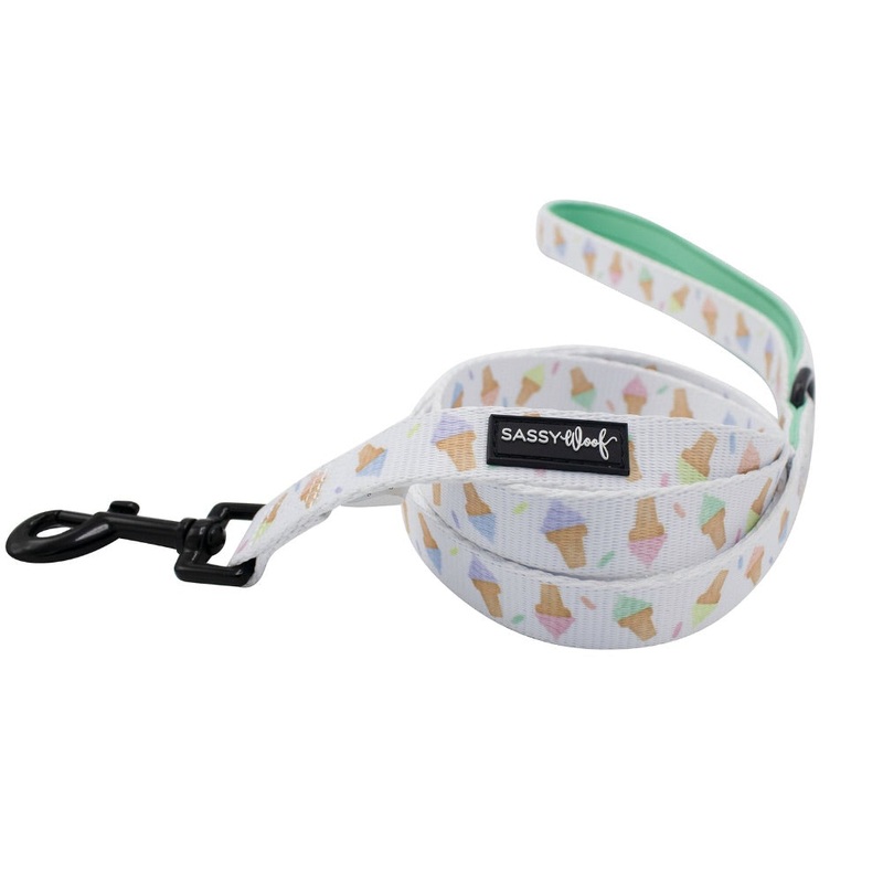 Sassy Woof Leash – Ice Cream