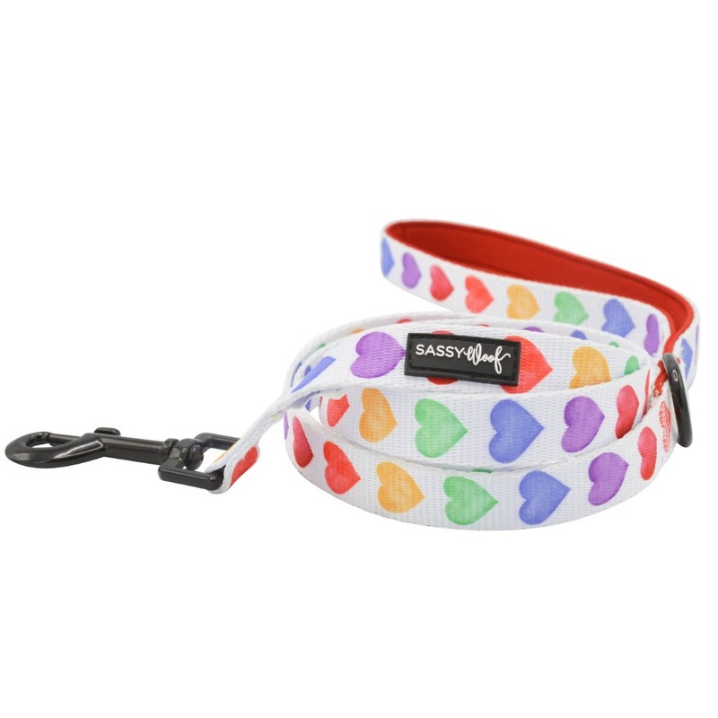 Sassy Woof Leash – Love Is Love
