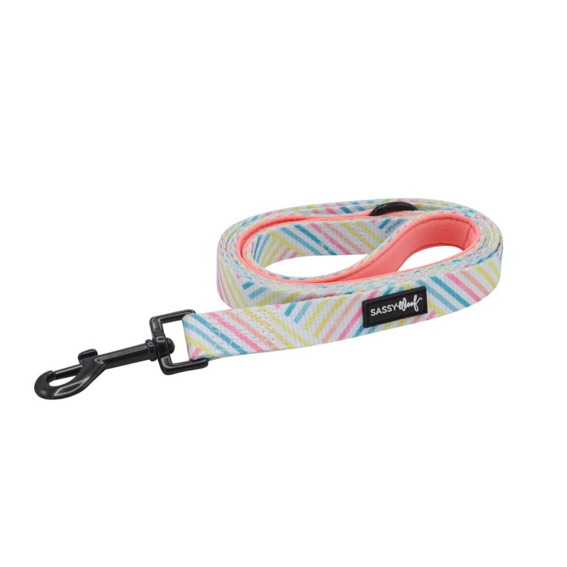 Sassy Woof Leash – Rainbow Sherbet