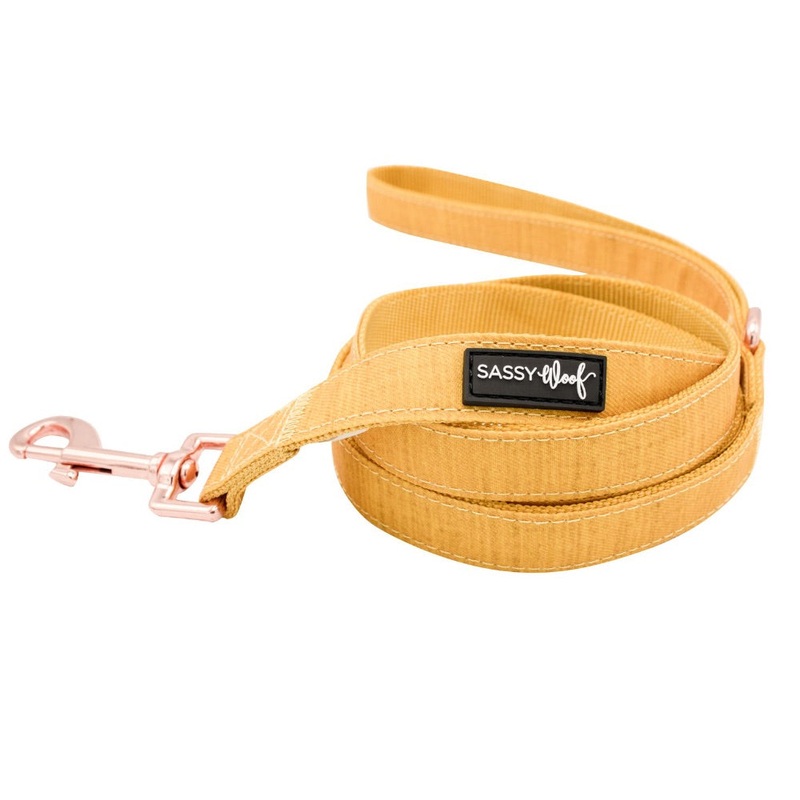 Sassy Woof Leash – Sunflower Fields