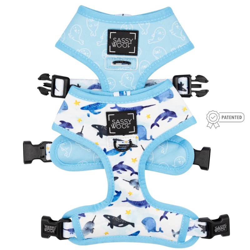 Sassy Woof Reversible Harness – Whale, Hello There