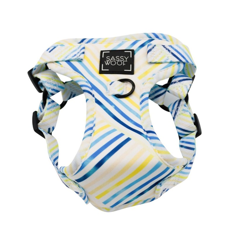 Sassy Woof Step-In Harness – Blueberry Lemonade