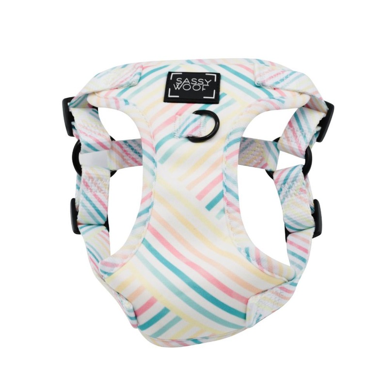 Sassy Woof Step-In Harness – Rainbow Sherbet