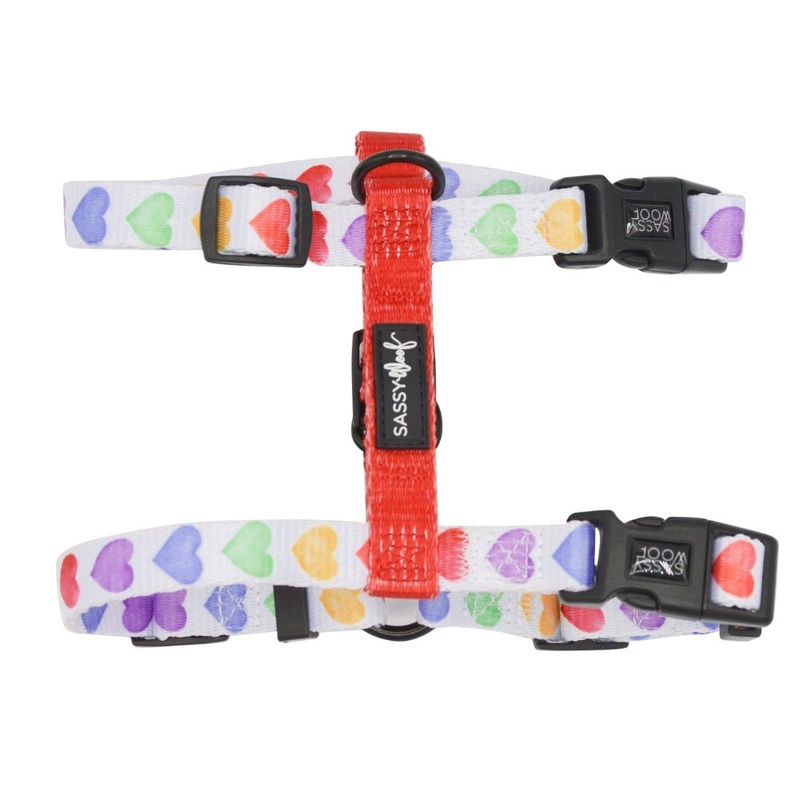 Sassy Woof Step-In-Strap Harness – Love Is Love