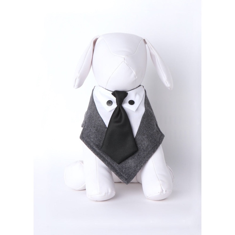 Tail Trends MR. GREY Bandana|X-Small 6-10|Medium 10-15|Large 16-24|X-Large 25-26