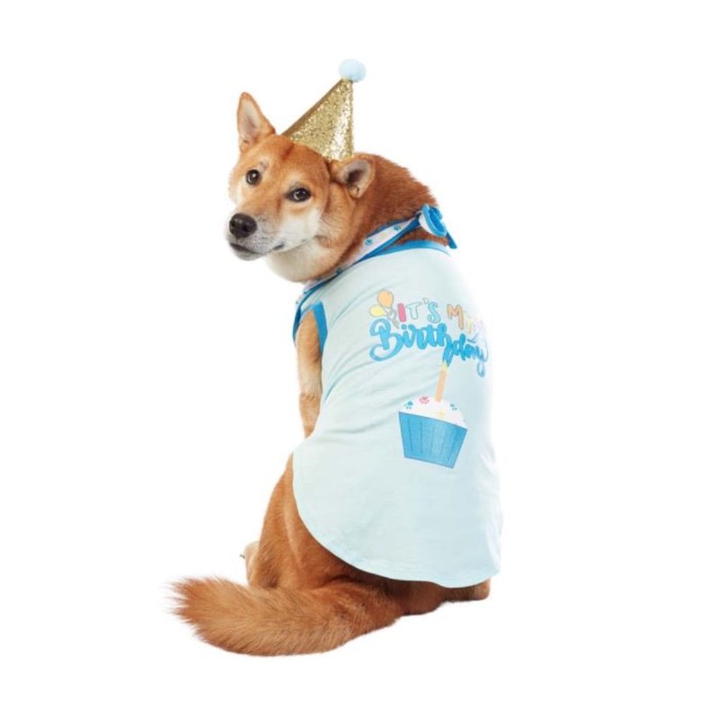 Best Furry Friends Birthday Boy Party Set (set of 4)