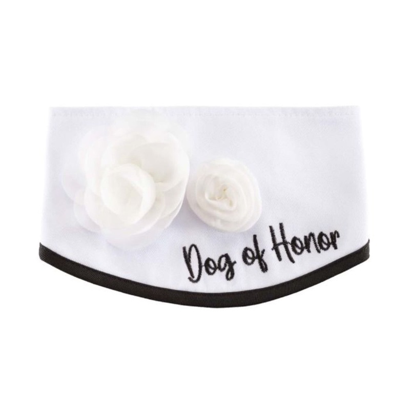 Best Furry Friends Classic Floral Collar