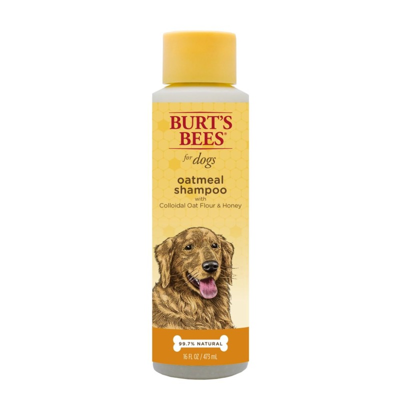 Burts Bees Oatmeal Dog Shampoo with Colloidal Oat Flour and Honey, 16 Ounces