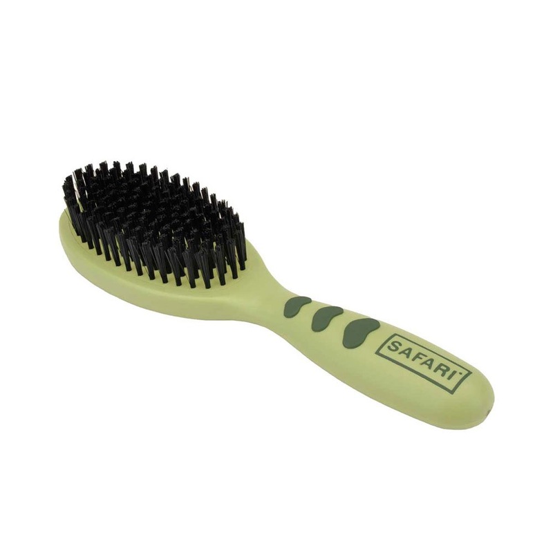 Coastal Safari Bristle Dog Brush – Small