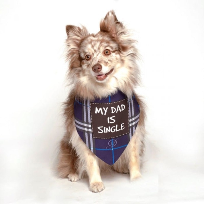 Dog Fashion Living My Dad Is Single Dog Bandana