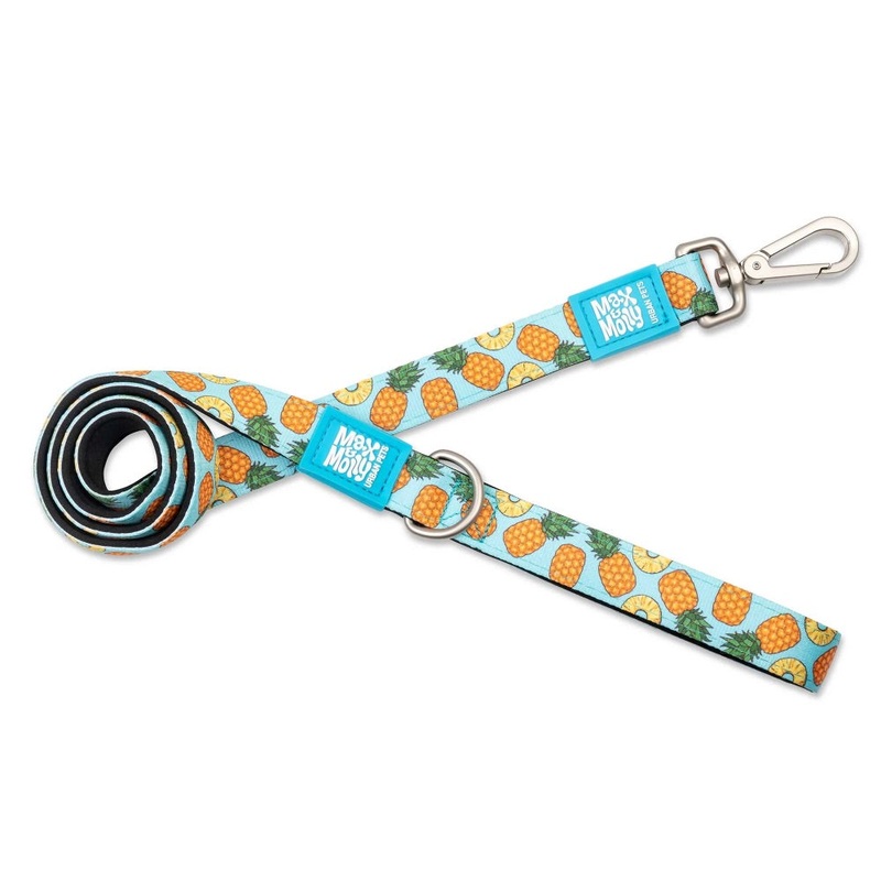Max & Molly SHORT LEASH – SWEET PINEAPPLE