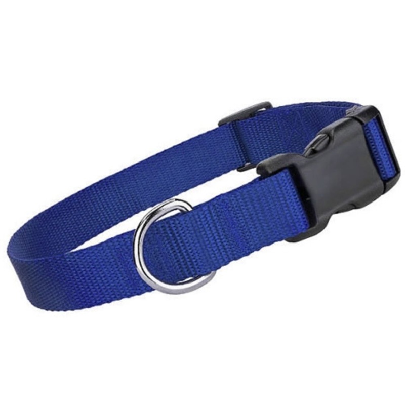 Parisian Pet Nylon Collar – Blue
