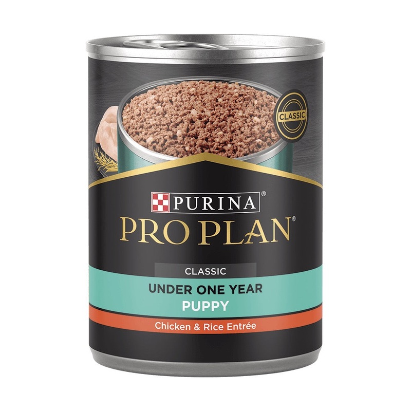 Purina Pro Plan FOCUS Puppy Chicken & Rice Entre Classic Wet Dog Food 13 Oz