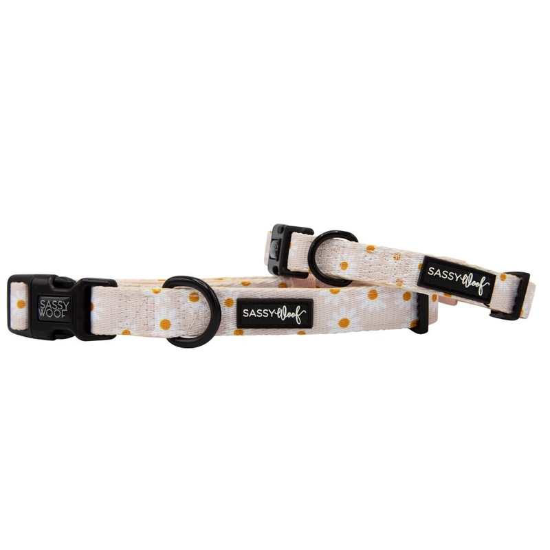 Sassy Woof Collar – Dainty Daisy