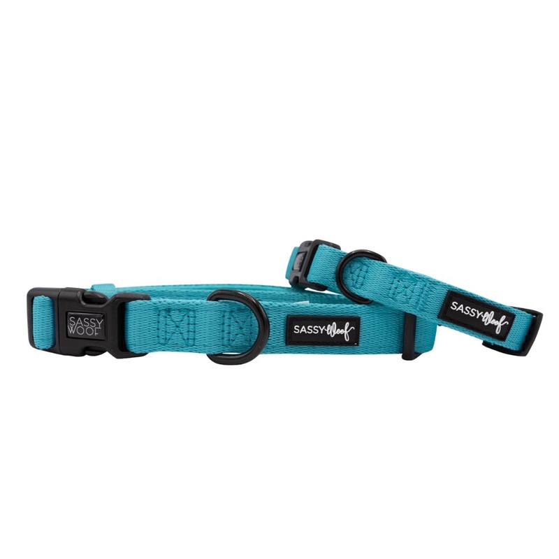 Sassy Woof Collar – Neon Blue|Medium|Large