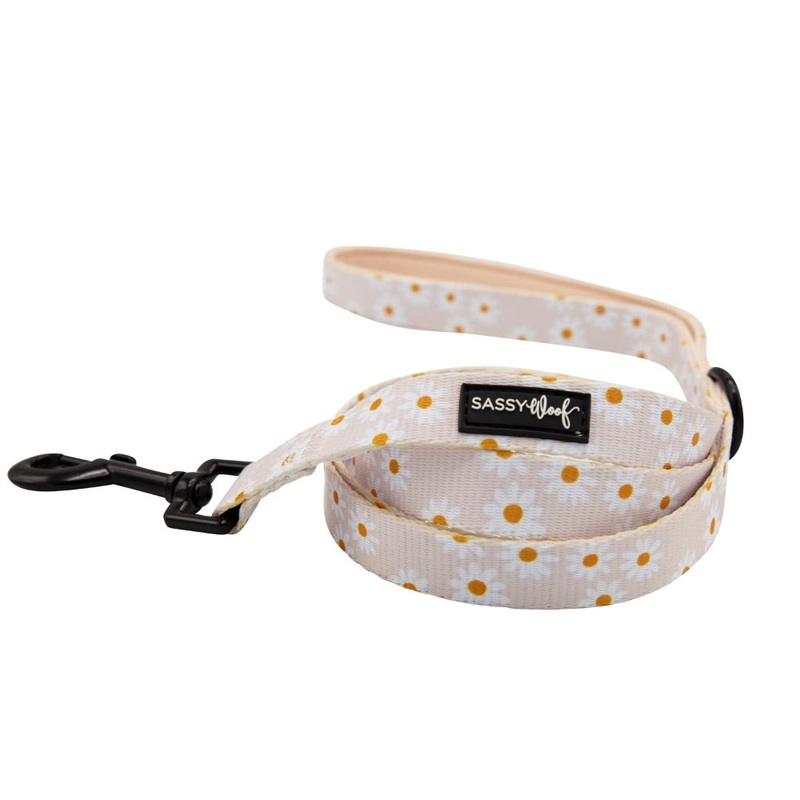 Sassy Woof Leash – Dainty Daisy
