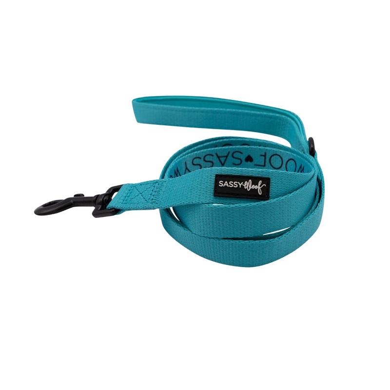 Sassy Woof Leash – Neon Blue