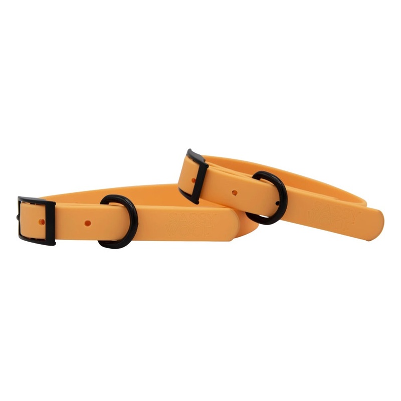 Sassy Woof Waterproof Collar – Orange
