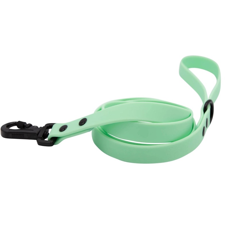 Sassy Woof Waterproof Leash – Green