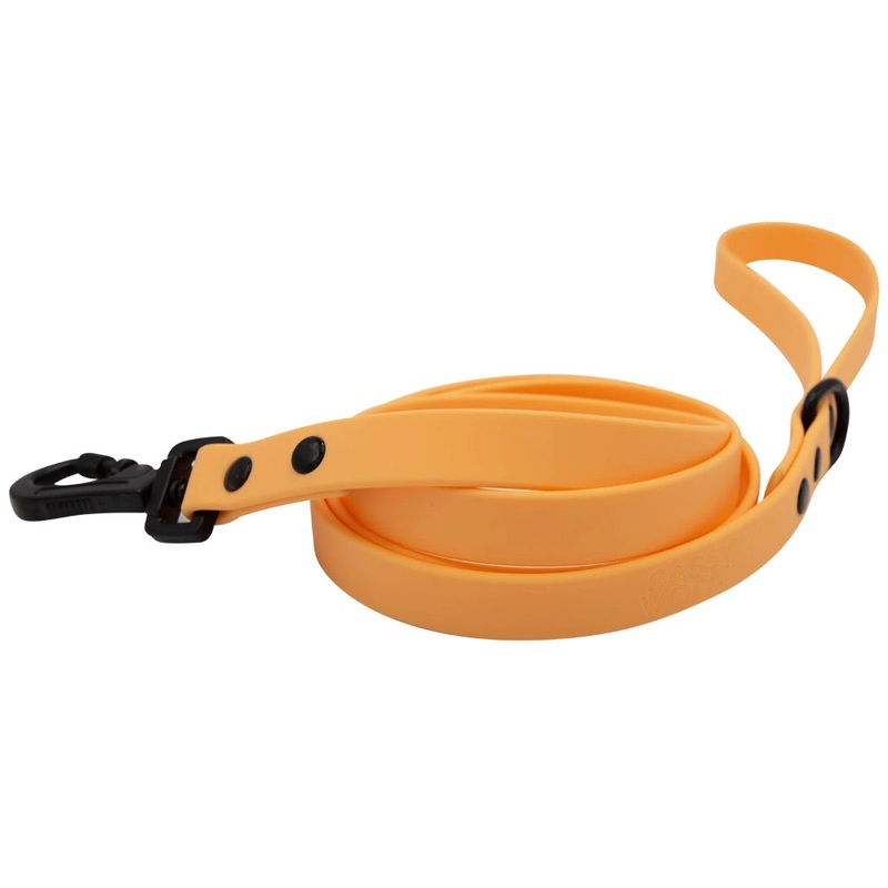 Sassy Woof Waterproof Leash – Orange