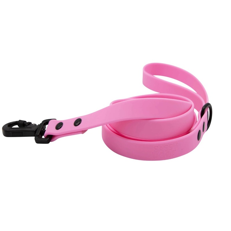 Sassy Woof Waterproof Leash – Pink