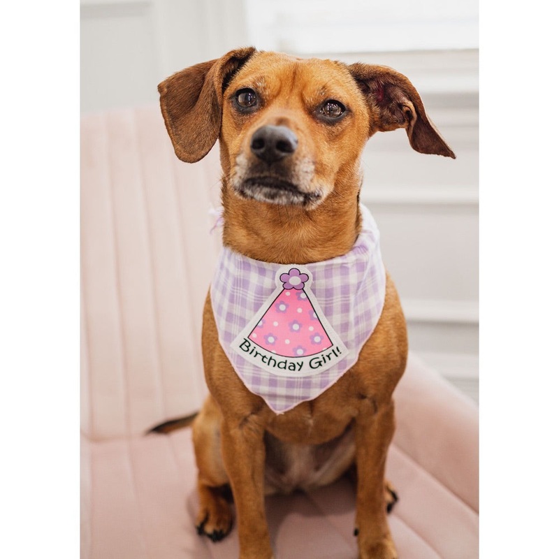 Tail Trends BIRTHDAY GIRL HAT Bandana