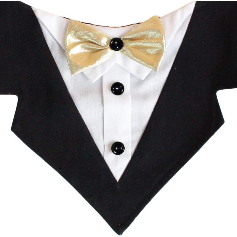 Tail Trends Mr. Darcy Formal Bandana