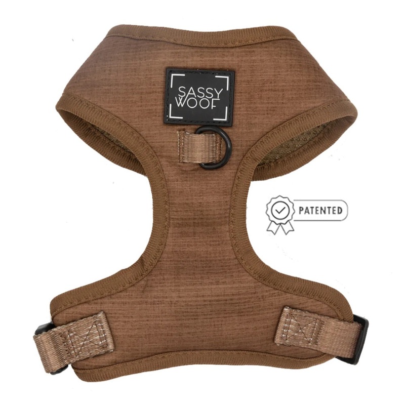 Sassy Woof DOG ADJUSTABLE HARNESS – TEDDY