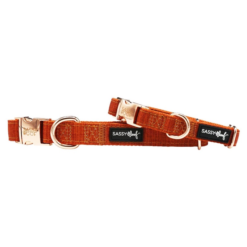 Sassy Woof DOG COLLAR – FOXY|X-Small|Small|Medium|Large