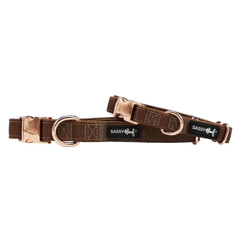 Sassy Woof DOG COLLAR – TEDDY|X-Small|Small|Medium|Large