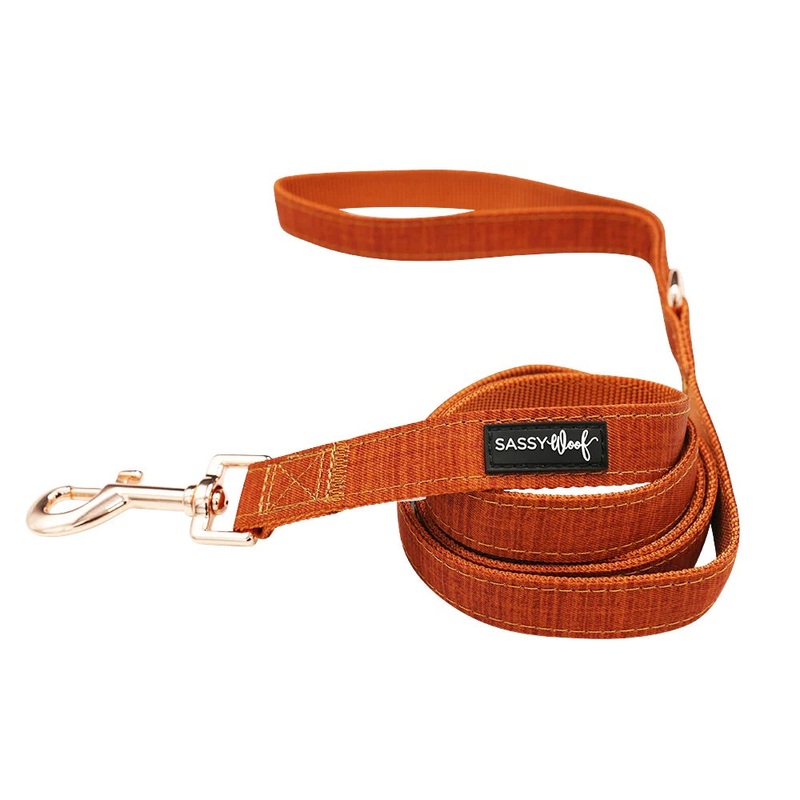Sassy Woof DOG LEASH – FOXY